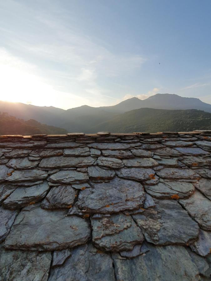 A Casetta di SANTA MARIA Furiani Esterno foto